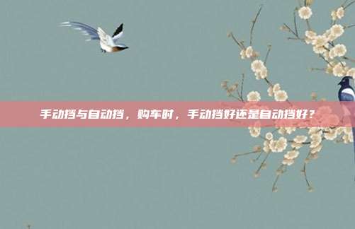 手动挡与自动挡，购车时，手动挡好还是自动挡好？