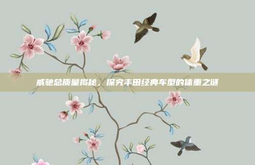 威驰总质量揭秘，探究丰田经典车型的体重之谜