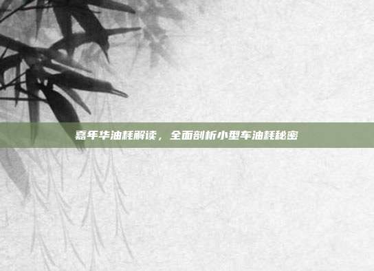 嘉年华油耗解读，全面剖析小型车油耗秘密
