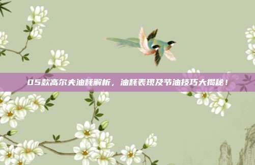 05款高尔夫油耗解析，油耗表现及节油技巧大揭秘！