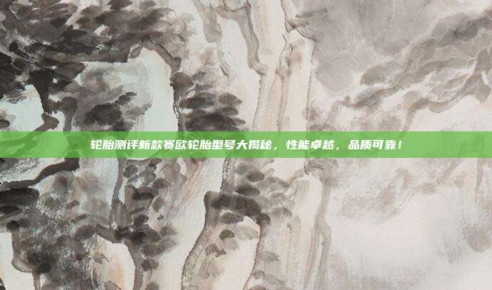 轮胎测评新款赛欧轮胎型号大揭秘，性能卓越，品质可靠！