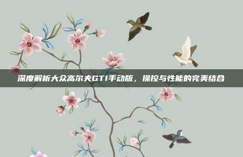 深度解析大众高尔夫GTI手动版，操控与性能的完美结合
