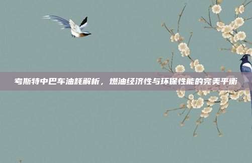 考斯特中巴车油耗解析，燃油经济性与环保性能的完美平衡
