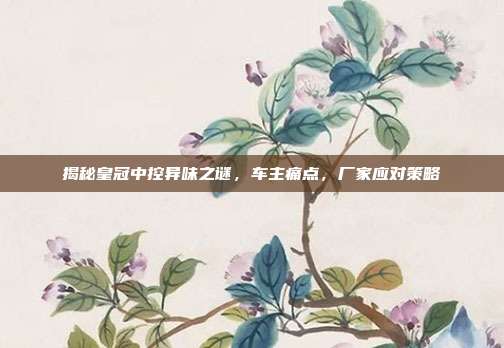 揭秘皇冠中控异味之谜，车主痛点，厂家应对策略