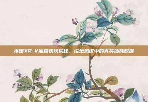 本田XR-V油耗表现揭秘，论坛热议中的真实油耗数据