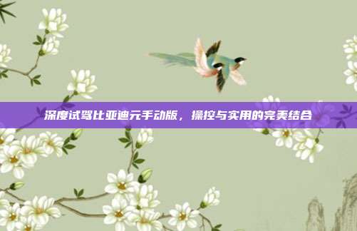 深度试驾比亚迪元手动版，操控与实用的完美结合