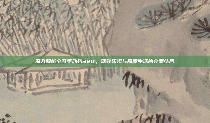 深入解析宝马手动挡320，驾驶乐趣与品质生活的完美结合