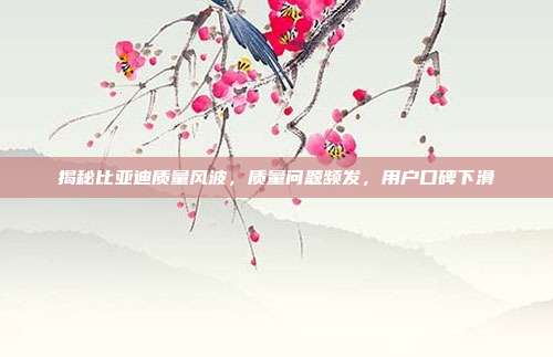 揭秘比亚迪质量风波，质量问题频发，用户口碑下滑