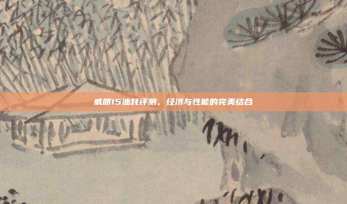 威朗15油耗评测，经济与性能的完美结合