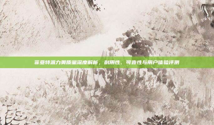 菲亚特派力奥质量深度解析，耐用性、可靠性与用户体验评测