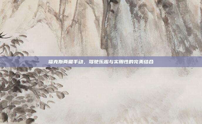 福克斯两厢手动，驾驶乐趣与实用性的完美结合