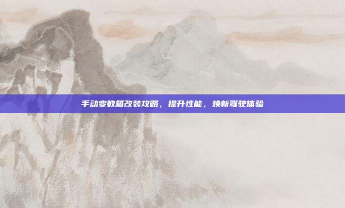 手动变数箱改装攻略，提升性能，焕新驾驶体验