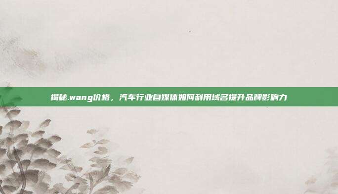 揭秘.wang价格，汽车行业自媒体如何利用域名提升品牌影响力