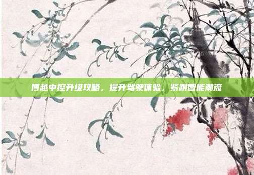 博越中控升级攻略，提升驾驶体验，紧跟智能潮流