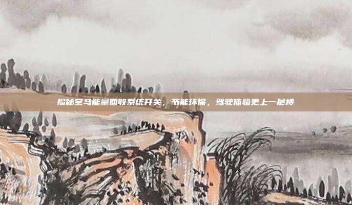 揭秘宝马能量回收系统开关，节能环保，驾驶体验更上一层楼
