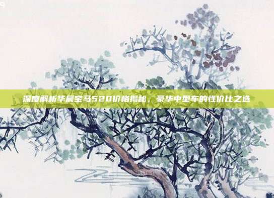 深度解析华晨宝马520价格揭秘，豪华中型车的性价比之选
