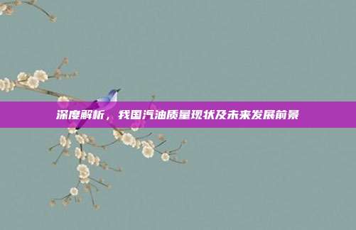 深度解析，我国汽油质量现状及未来发展前景