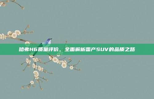 哈弗H6质量评价，全面解析国产SUV的品质之路
