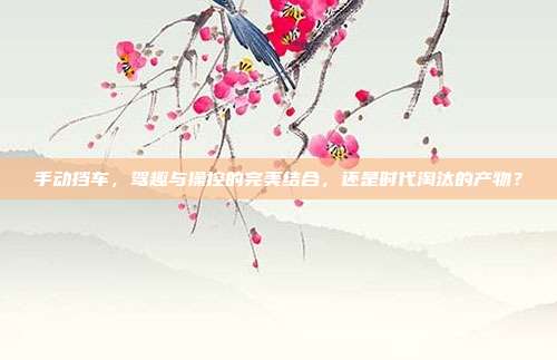 手动挡车，驾趣与操控的完美结合，还是时代淘汰的产物？
