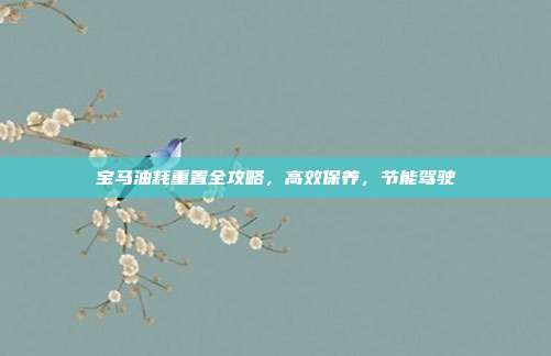 宝马油耗重置全攻略，高效保养，节能驾驶