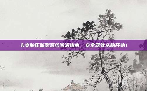 卡宴胎压监测系统激活指南，安全驾驶从胎开始！