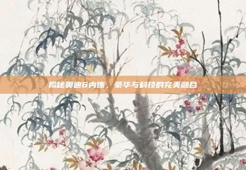 揭秘奥迪6内饰，豪华与科技的完美融合