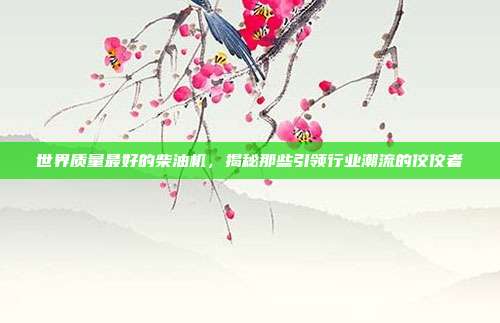 世界质量最好的柴油机，揭秘那些引领行业潮流的佼佼者