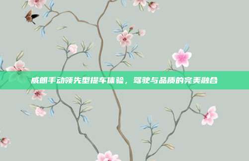 威朗手动领先型提车体验，驾驶与品质的完美融合