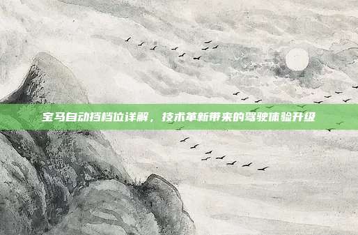 宝马自动挡档位详解，技术革新带来的驾驶体验升级