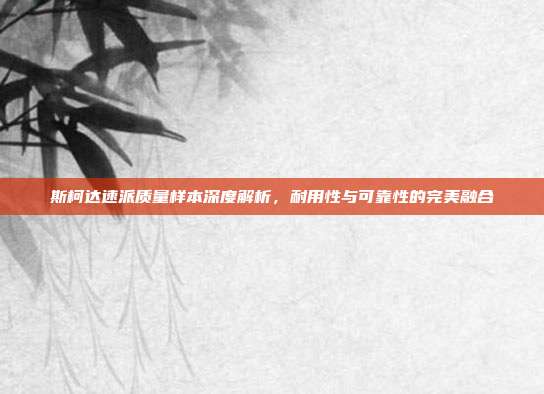 斯柯达速派质量样本深度解析，耐用性与可靠性的完美融合