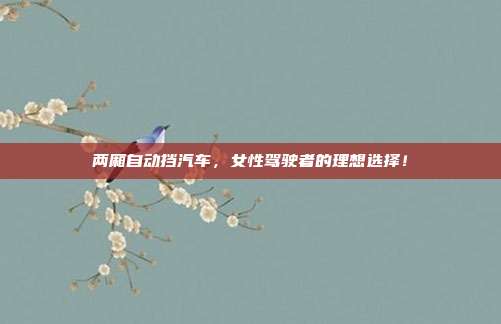 两厢自动挡汽车，女性驾驶者的理想选择！