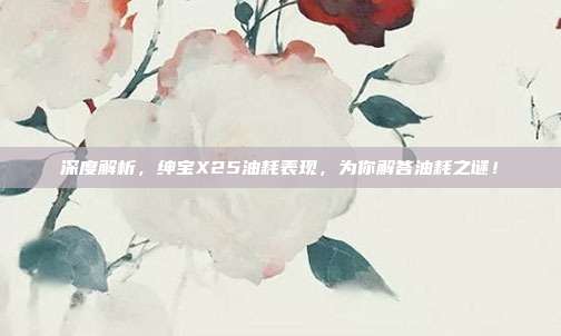 深度解析，绅宝X25油耗表现，为你解答油耗之谜！