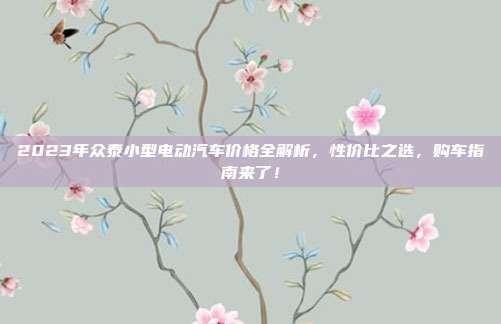 2023年众泰小型电动汽车价格全解析，性价比之选，购车指南来了！