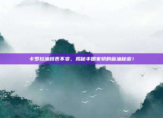 卡罗拉油耗表不变，揭秘丰田家轿的省油秘密！