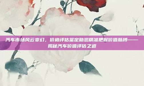 汽车市场风云变幻，价格评估鉴定助您精准把握价值脉搏——揭秘汽车价值评估之道