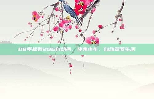 08年标致206自动挡，经典小车，自动驾驭生活