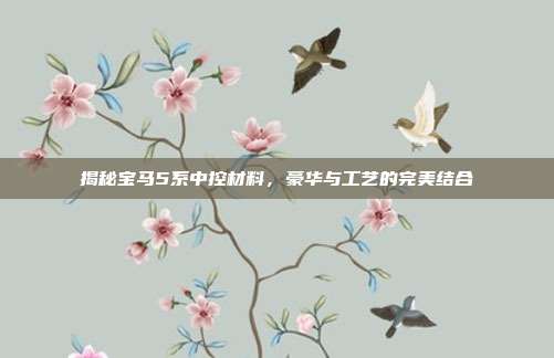 揭秘宝马5系中控材料，豪华与工艺的完美结合