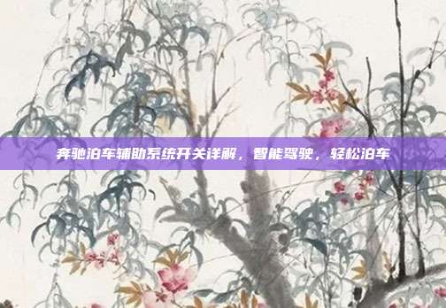 奔驰泊车辅助系统开关详解，智能驾驶，轻松泊车