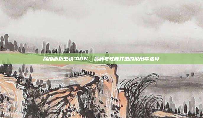 深度解析宝骏310W，品质与性能并重的家用车选择