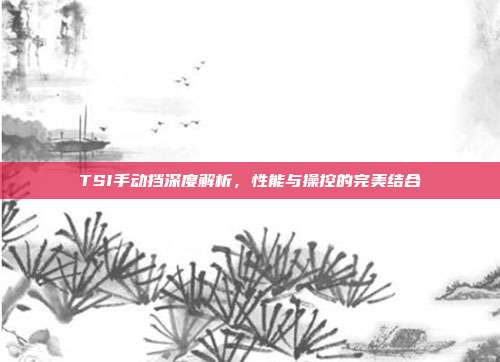 TSI手动挡深度解析，性能与操控的完美结合