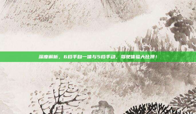 深度解析，6档手自一体与5档手动，驾驶体验大比拼！