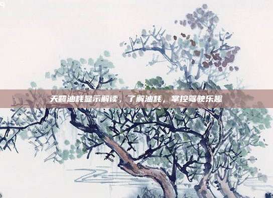 天籁油耗显示解读，了解油耗，掌控驾驶乐趣