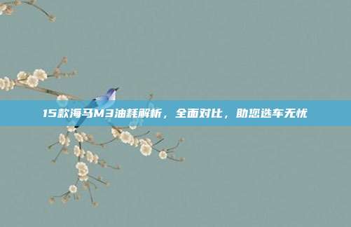 15款海马M3油耗解析，全面对比，助您选车无忧