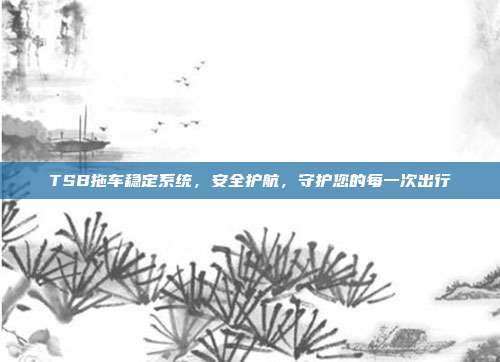 TSB拖车稳定系统，安全护航，守护您的每一次出行