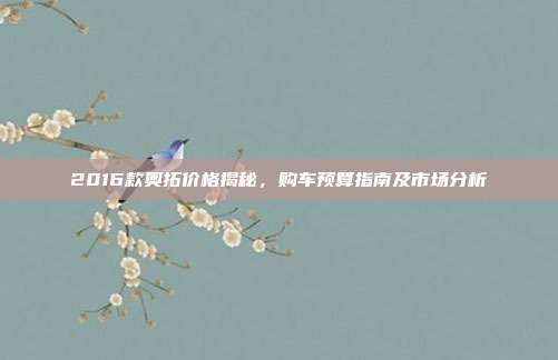 2016款奥拓价格揭秘，购车预算指南及市场分析