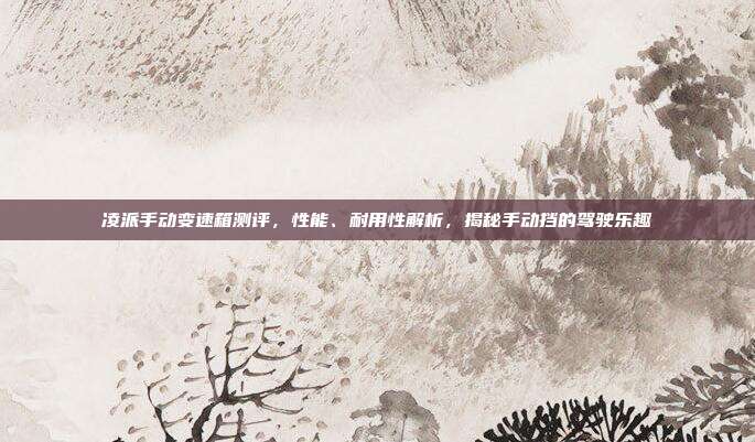 凌派手动变速箱测评，性能、耐用性解析，揭秘手动挡的驾驶乐趣