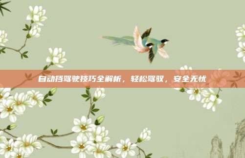 自动挡驾驶技巧全解析，轻松驾驭，安全无忧