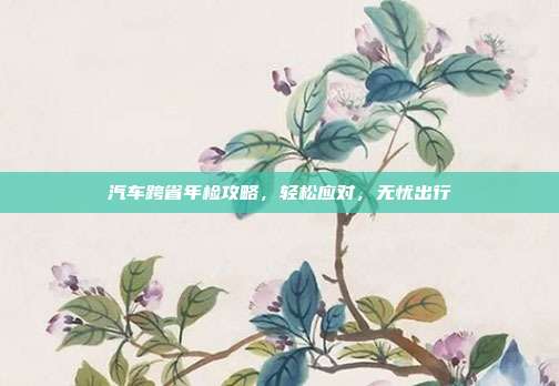 汽车跨省年检攻略，轻松应对，无忧出行