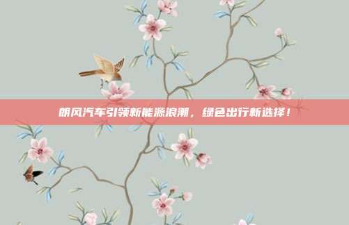朗风汽车引领新能源浪潮，绿色出行新选择！