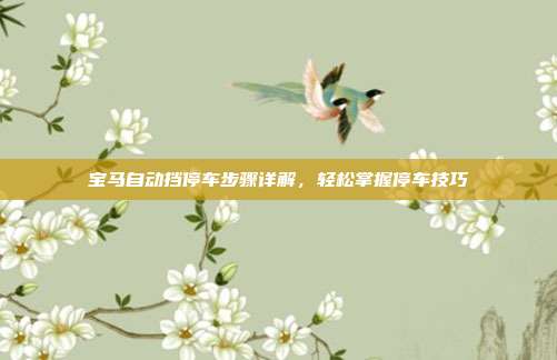 宝马自动挡停车步骤详解，轻松掌握停车技巧